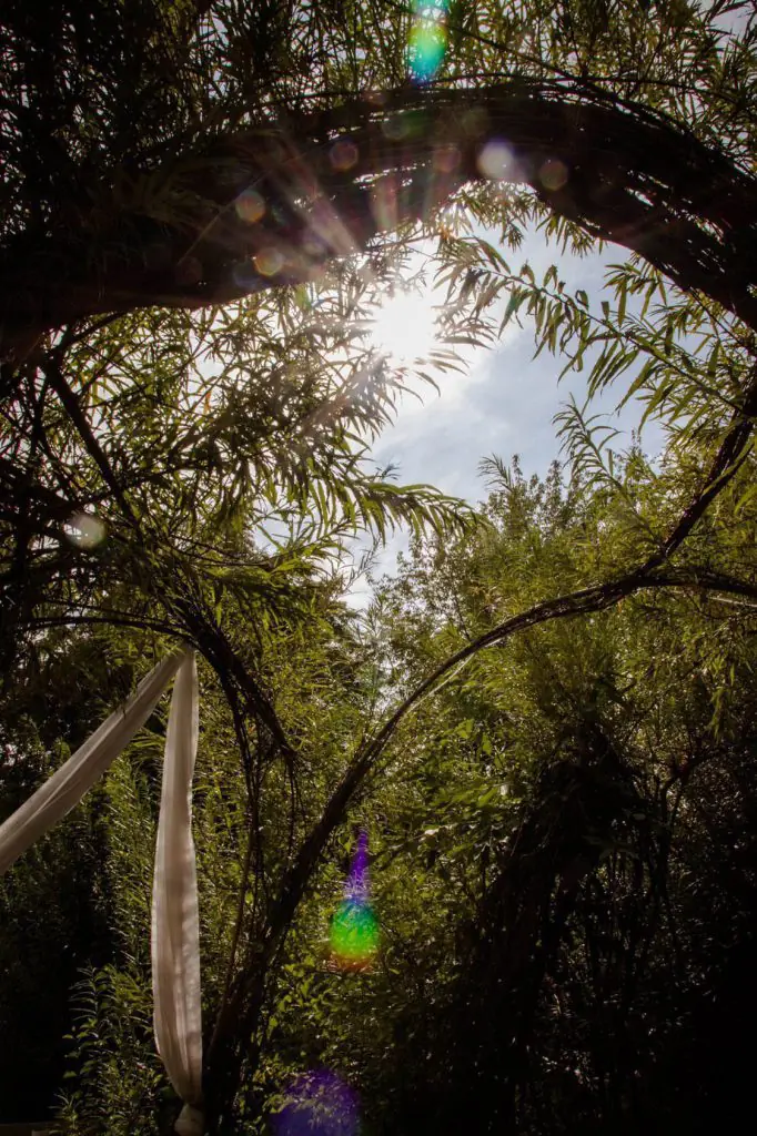 grüne Weiden und blauer Himmel
